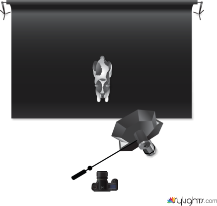 Clamshell by Guest User