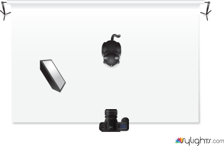 Rembrandt by Guest User