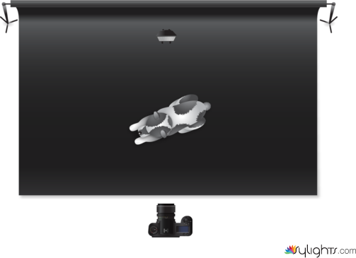 Contraluz by Guest User