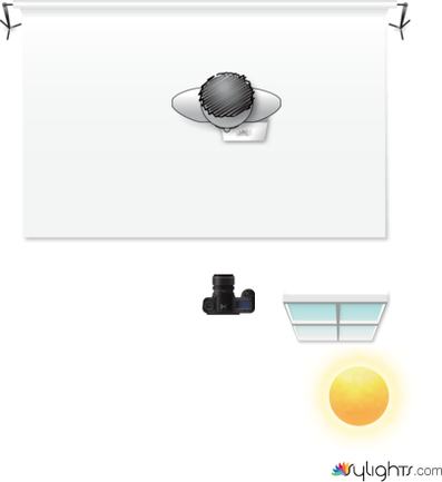 window by Guest User