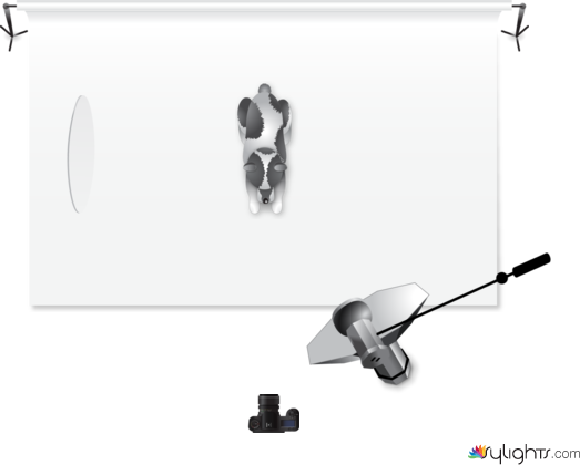 Clamshell by Guest User