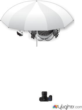 flash on location 3 by Guest User