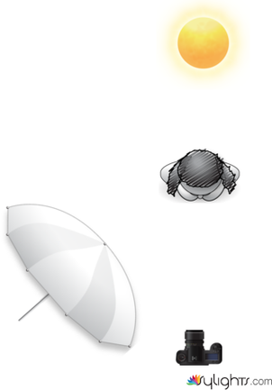 flash outdoors 1 by Guest User