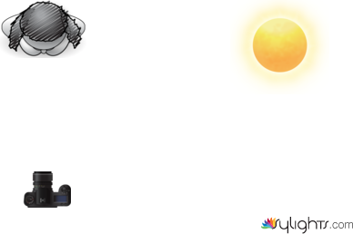 PLANTA DE LUCES by Guest User