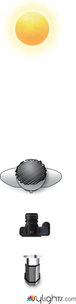 Butterfly_1 by Guest User