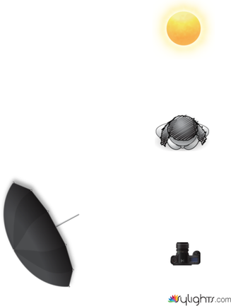 Light 1 by Guest User