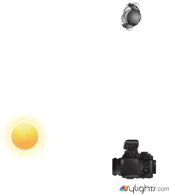 imagem1 by Guest User