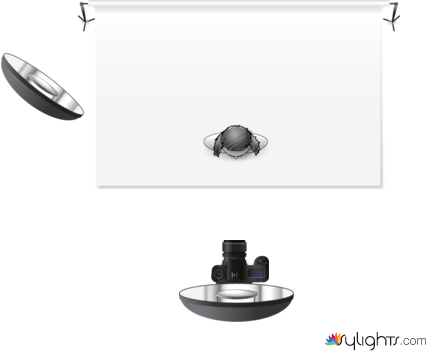 Butterfly-licht by Guest User