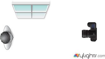 Window 2 by Guest User