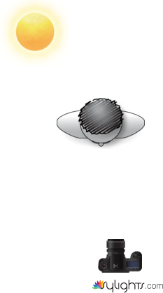 soccer by Guest User