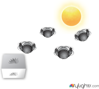 1111F by Guest User