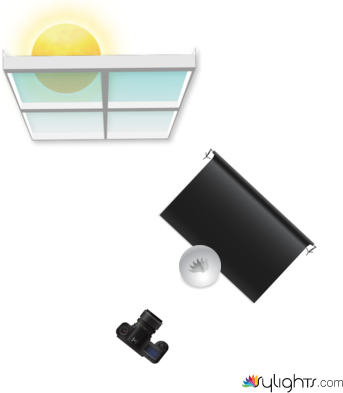 planta by Guest User