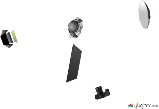 present by Guest User