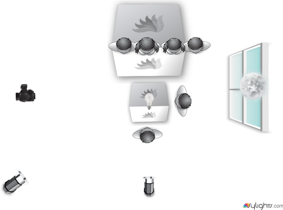 Primer plantilla by Guest User