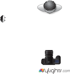 synchro Sun  by Guest User