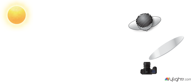 cvnkfgr by Guest User