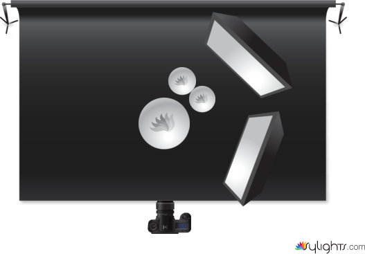 still life photo 2 by Guest User