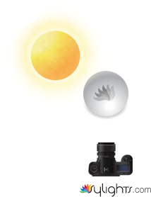 image 4 by Guest User