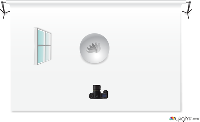 image 4 by Guest User