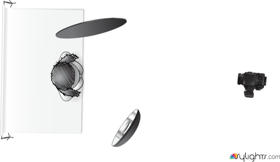 prova4 by Guest User