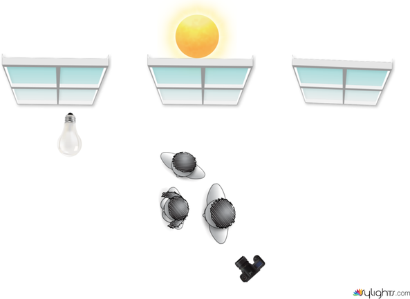 Research Image 7 by Guest User