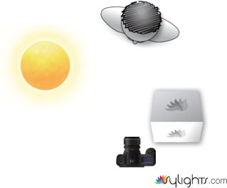 fffddd by Guest User