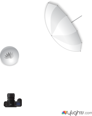 food 1 by Guest User