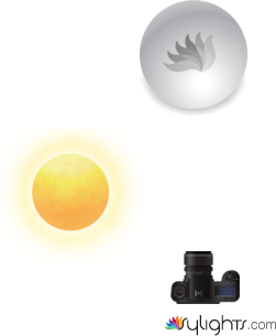 image 2 by Guest User