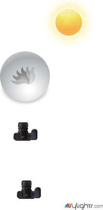 image 4 by Guest User