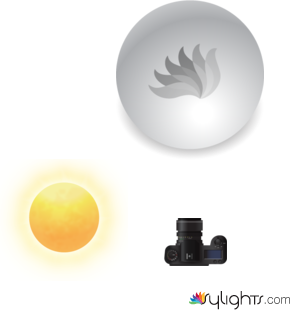 image 5 by Guest User