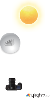 image 4 by Guest User