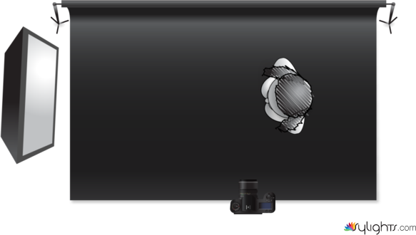 Portrait 1 by Guest User