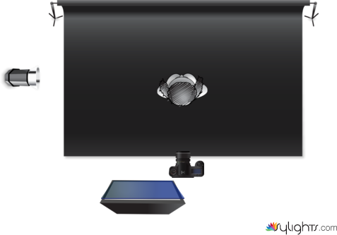 87hygh by Guest User