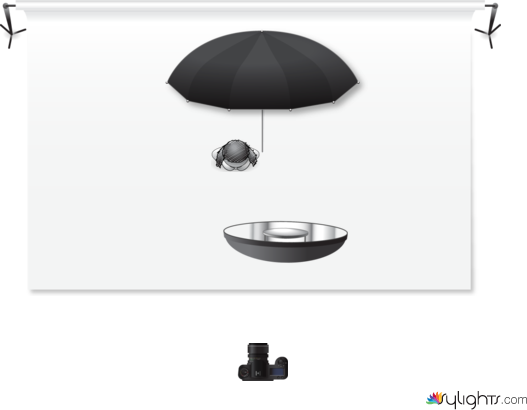 Parabolic Above by Guest User