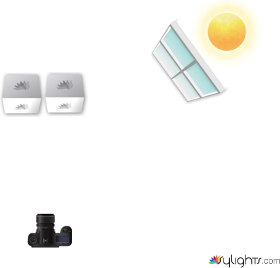 dsijdsfff by Guest User