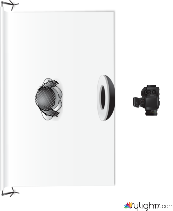 lifestyle by Guest User