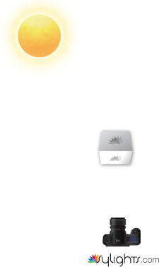 lifestyle by Guest User