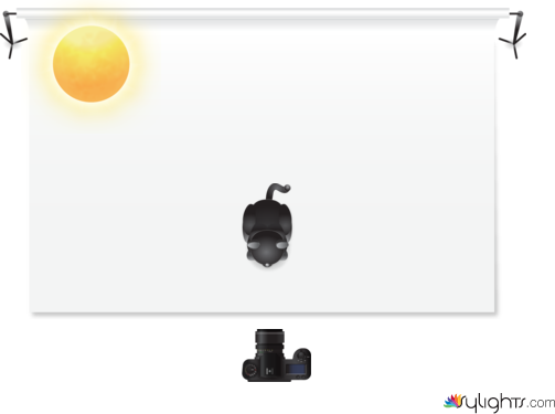 deer lighting by Guest User