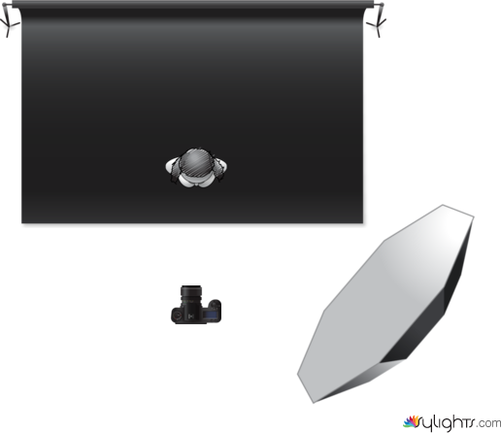 Giorgia by Guest User