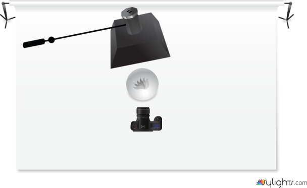 htyyyy by Guest User