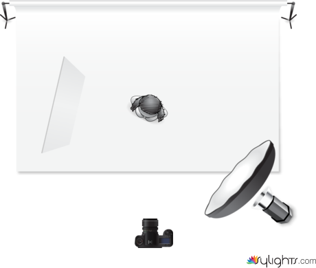 Portrait  by Guest User