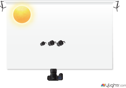 deer diagram  by Guest User