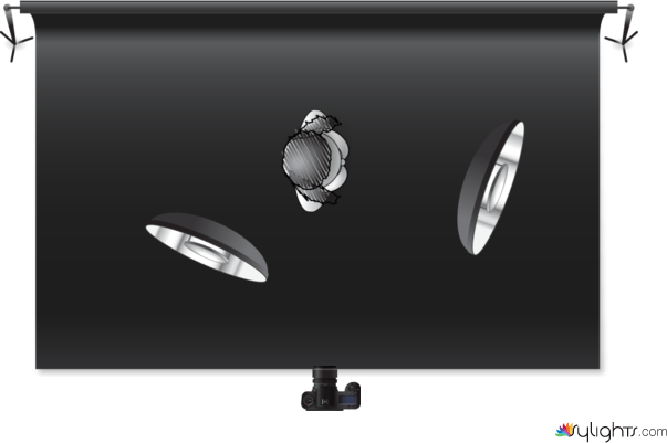 kkkkkkk by Guest User