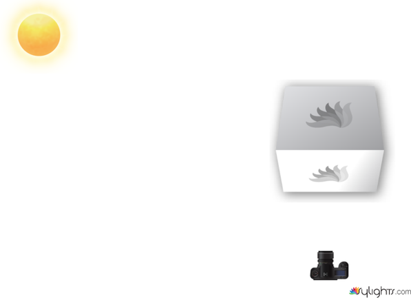 High Key by Guest User