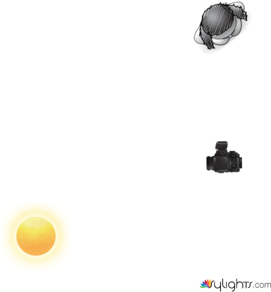 Contre_arbre by Guest User