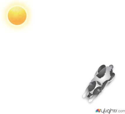 frans diagram 1 by Guest User