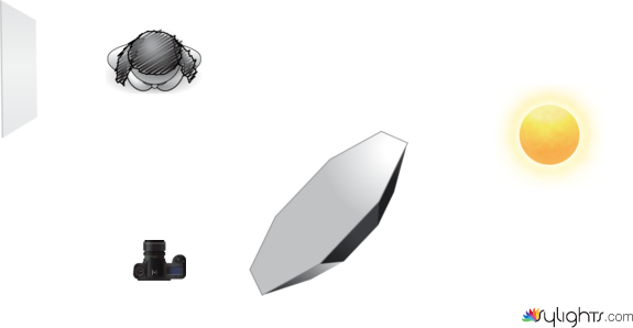 dsadas by Guest User