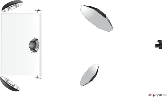 Antonio Rosado Fotografia by Guest User