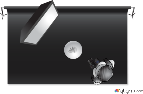 gfsfdsf by Guest User