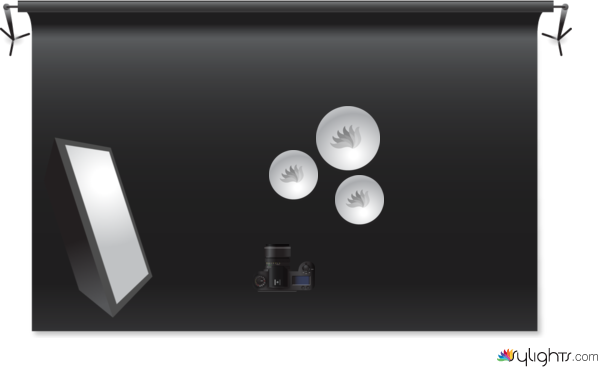 still life  by Guest User